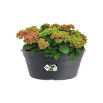 green basics schale 33cm living schwarz